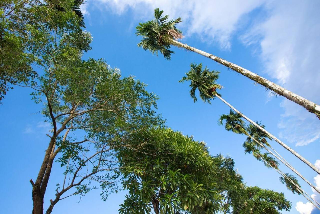Baan Chong Fa Resort Khao Lak Dış mekan fotoğraf
